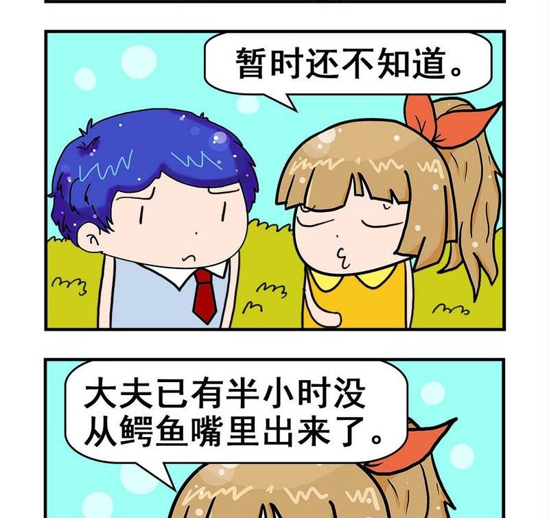 8 鳄鱼
