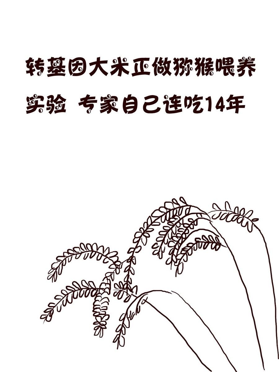小小笑话 第34集