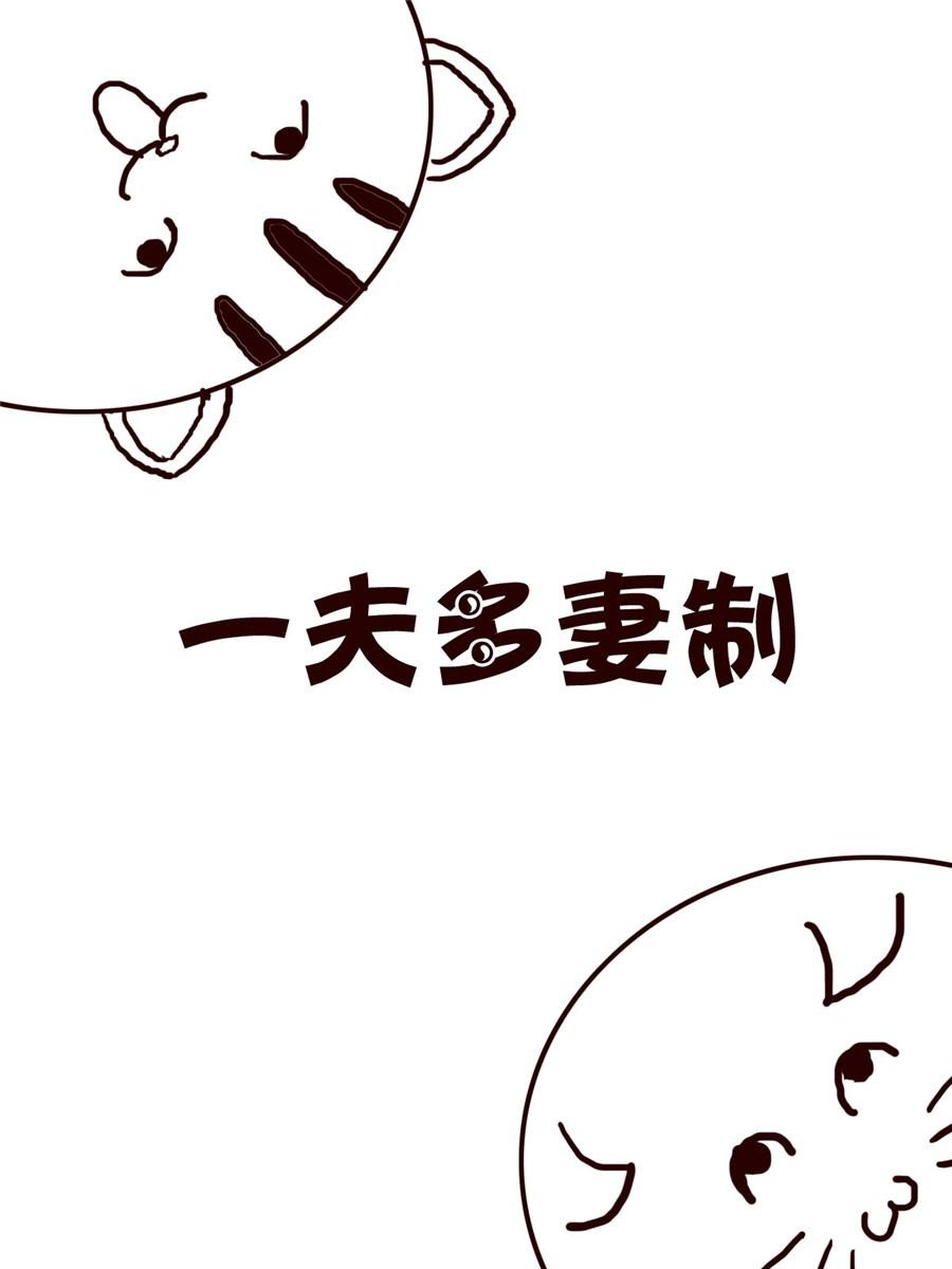 小小笑话 第5集