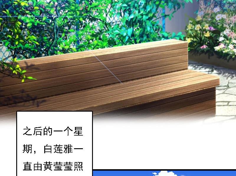 第17话 白莲雅的消失