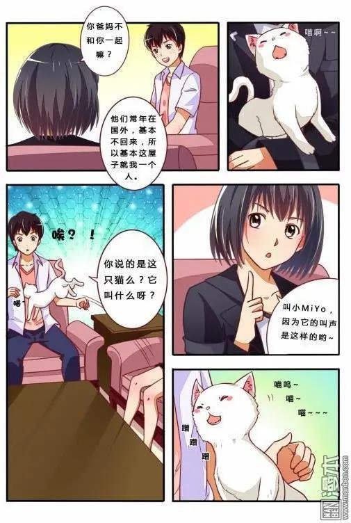 第12回 战队组起来