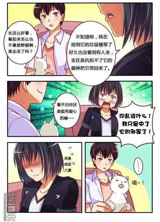 第12回 战队组起来