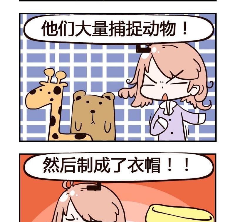 3 动物