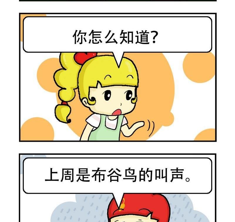 8 换男友