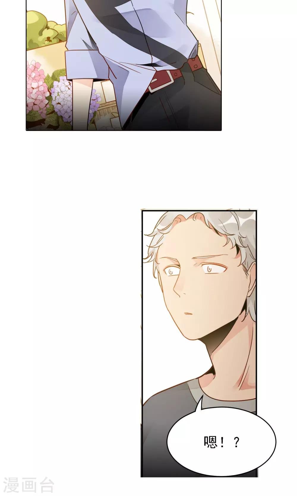 第11话 双瓣翠菊的花语