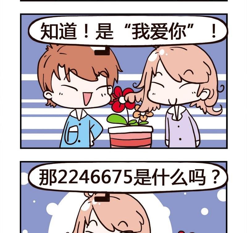 6 数字