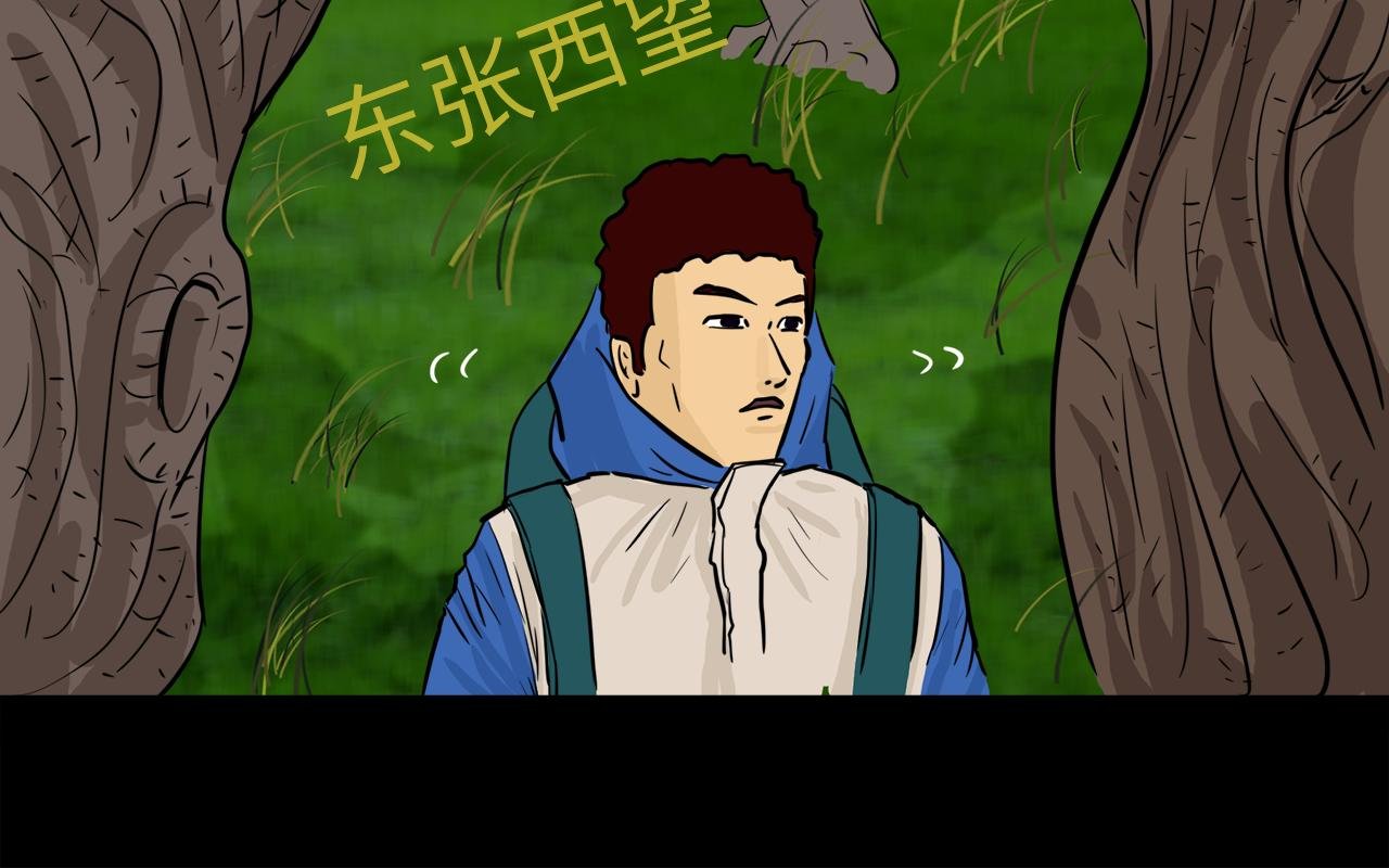 第10话信鸽