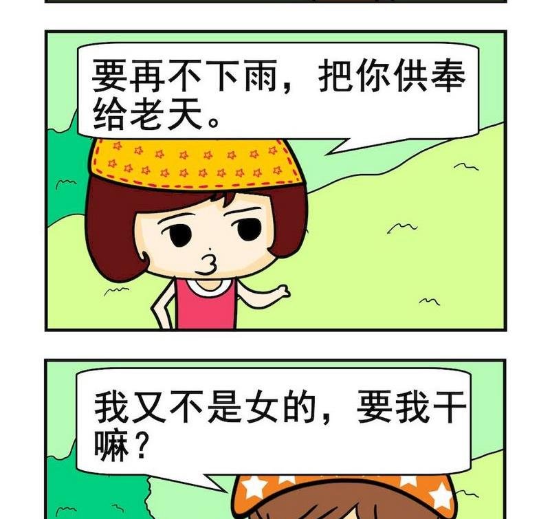 8 猪头