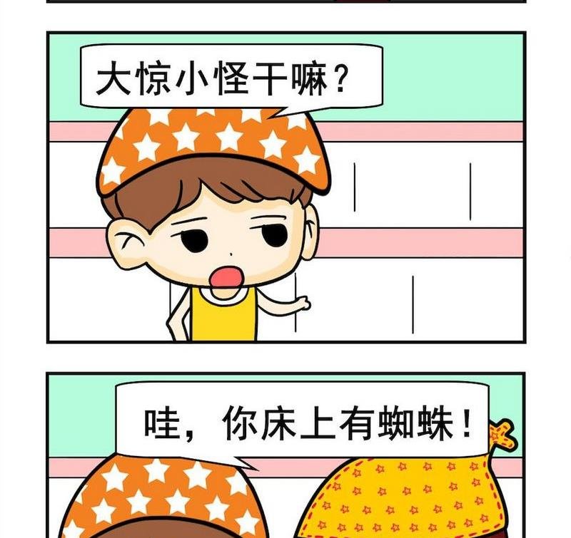 4 蜘蛛