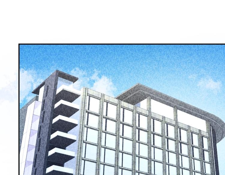 第27话 灵猫之终