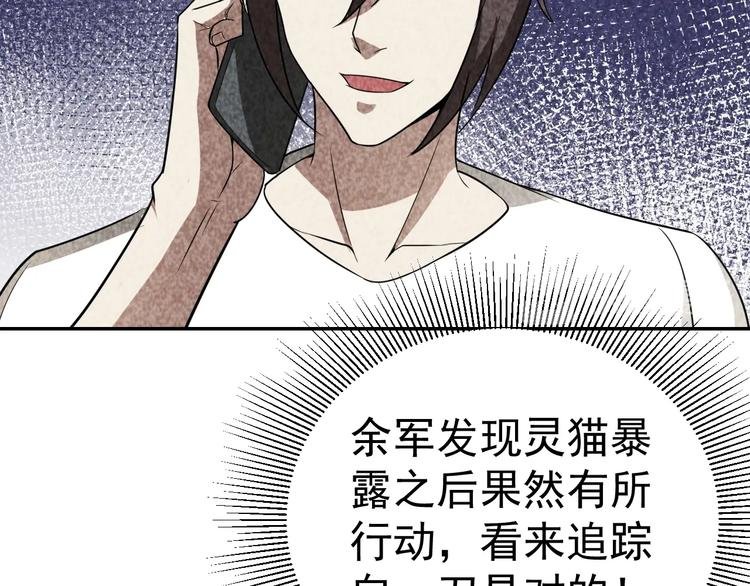 第27话 灵猫之终
