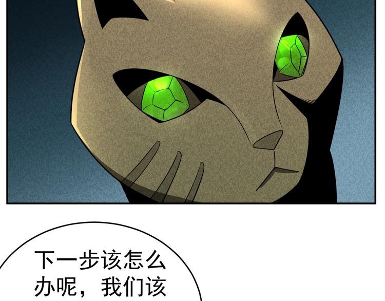 第27话 灵猫之终