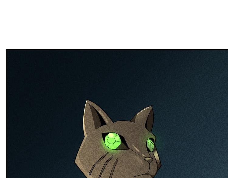 第27话 灵猫之终