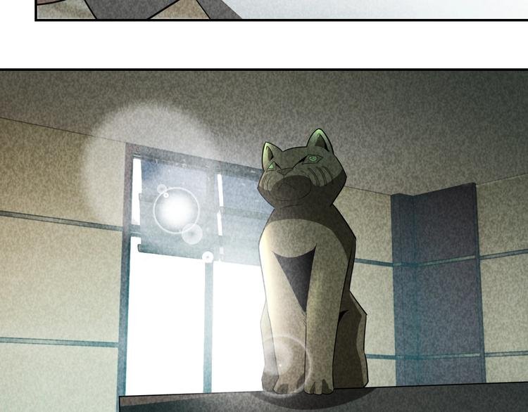 第27话 灵猫之终