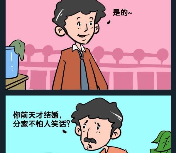 4 分家