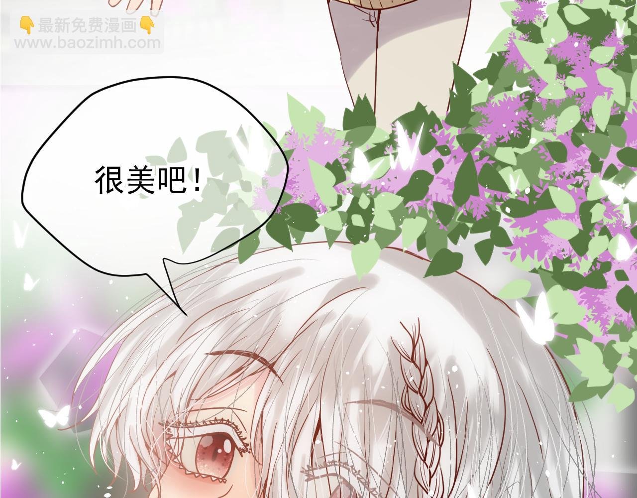 第6话：美照大赏(学分4)下