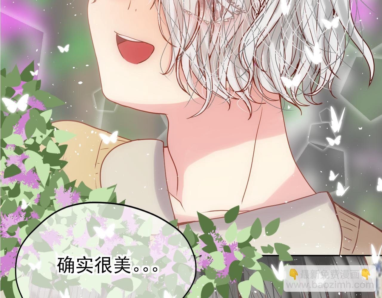 第6话：美照大赏(学分4)下