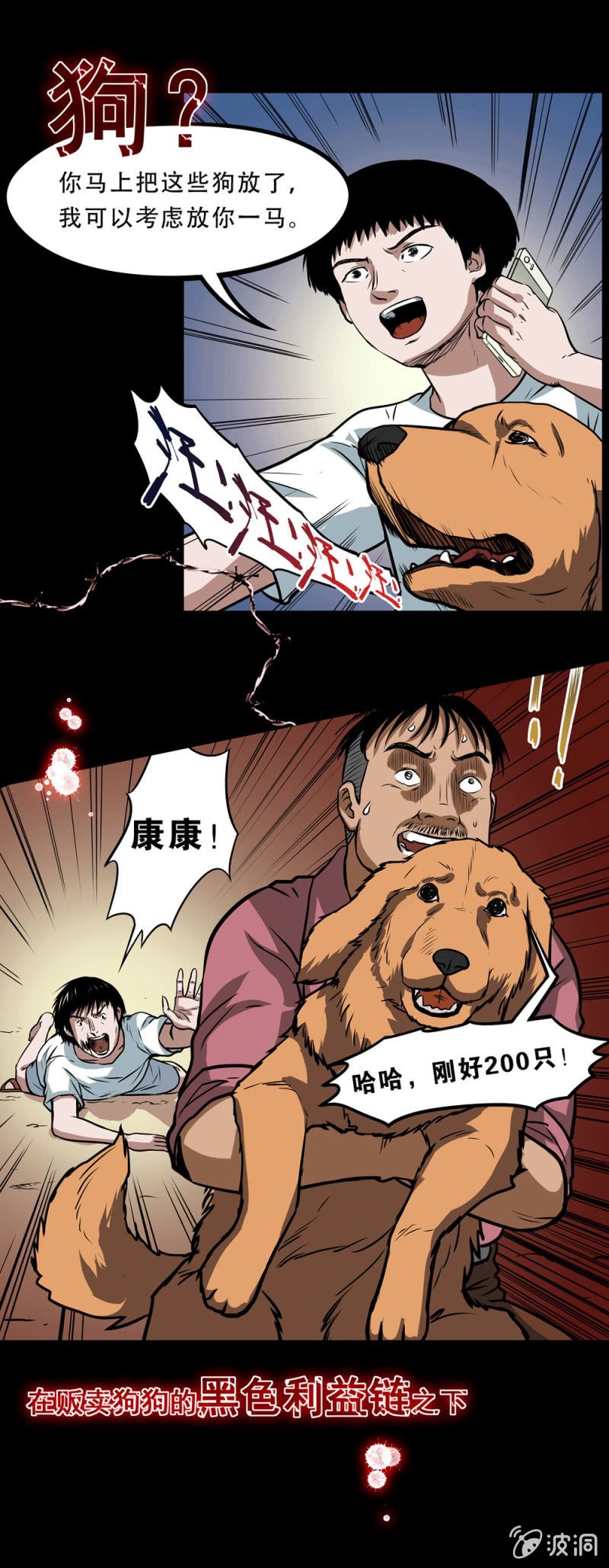 见怪不怪预告