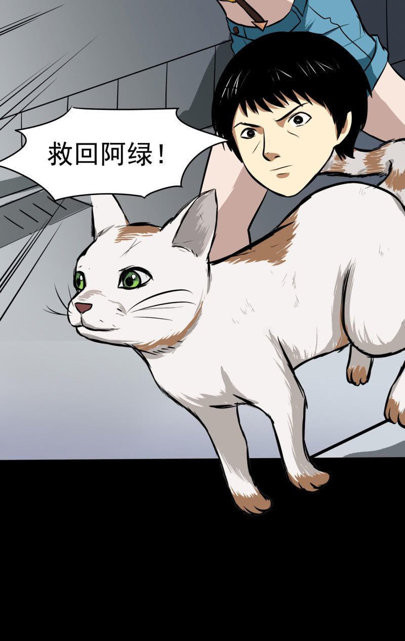 寄生兄弟3