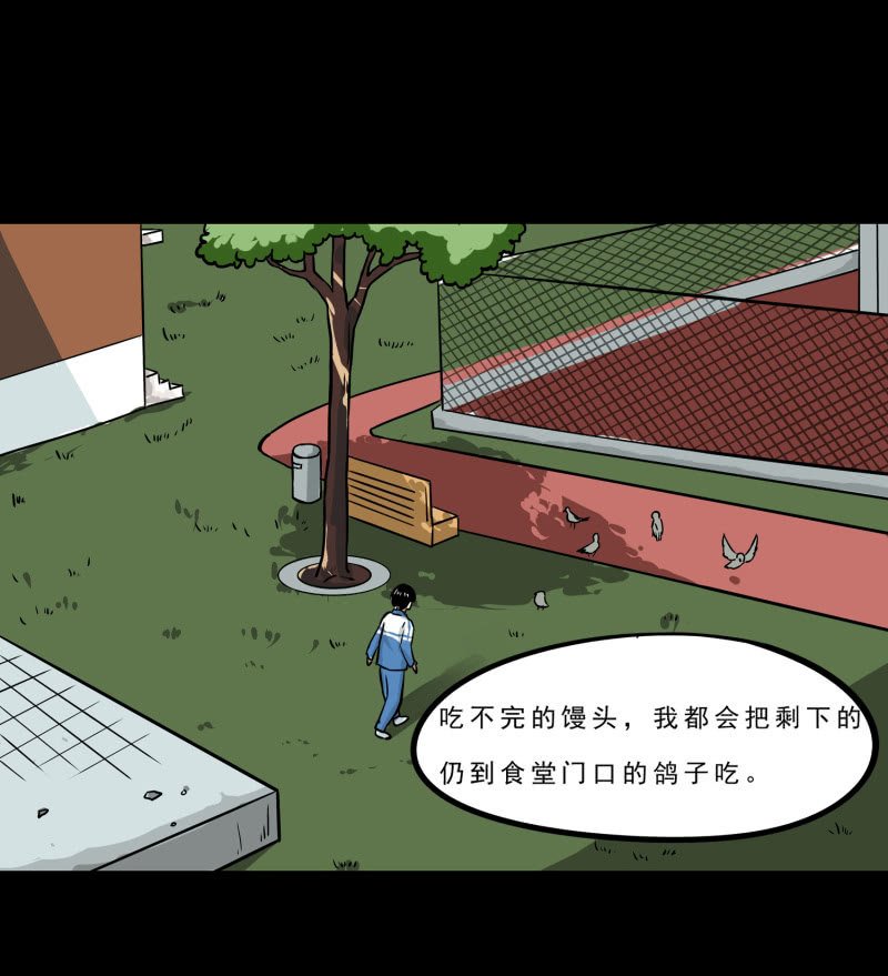 崭新的一天1