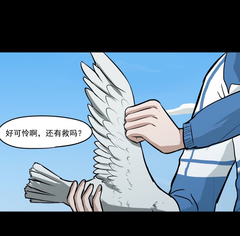 崭新的一天1