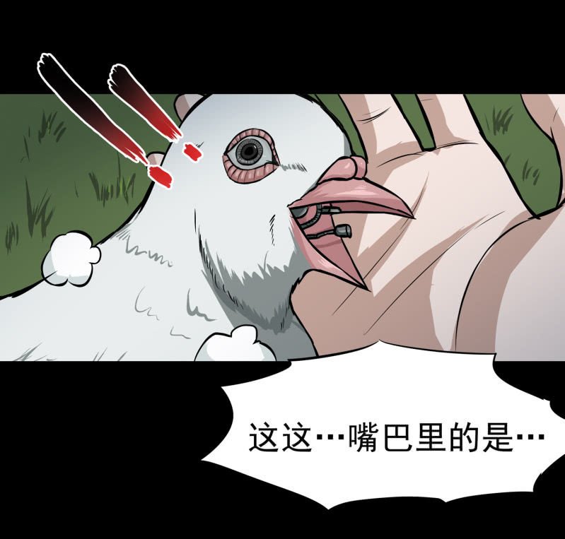 崭新的一天1