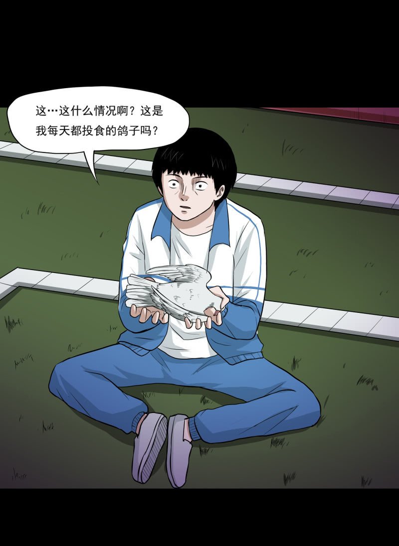 崭新的一天1