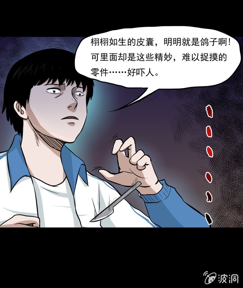 崭新的一天1