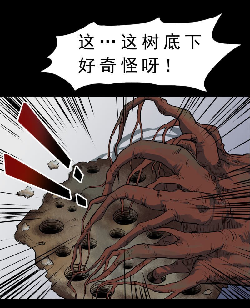 崭新的一天3