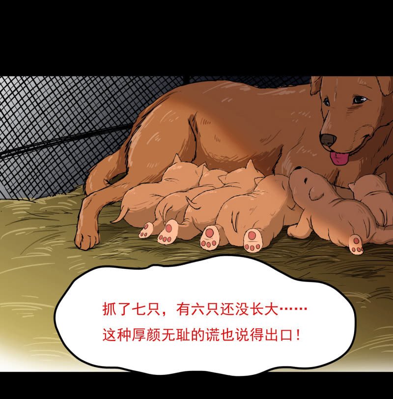狗灵·异世界1