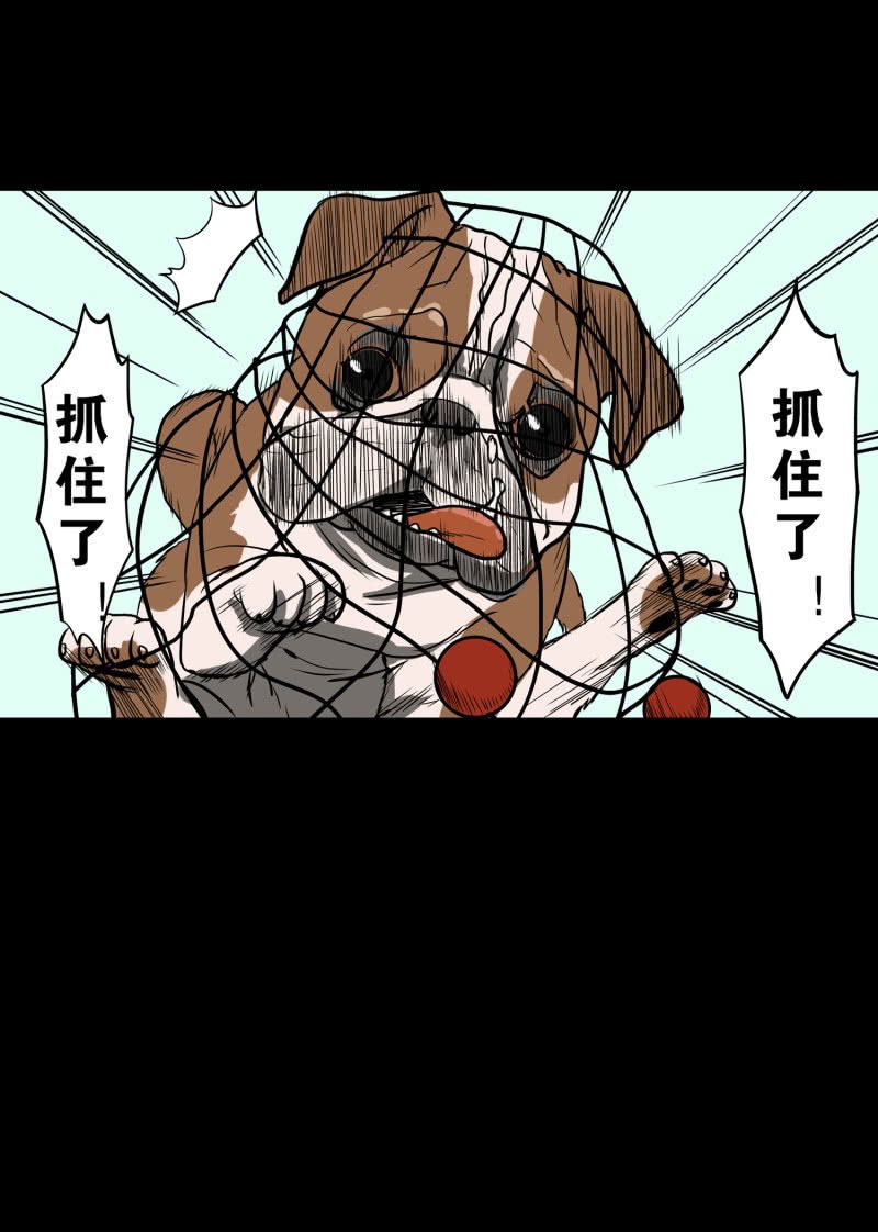 狗灵·异世界1