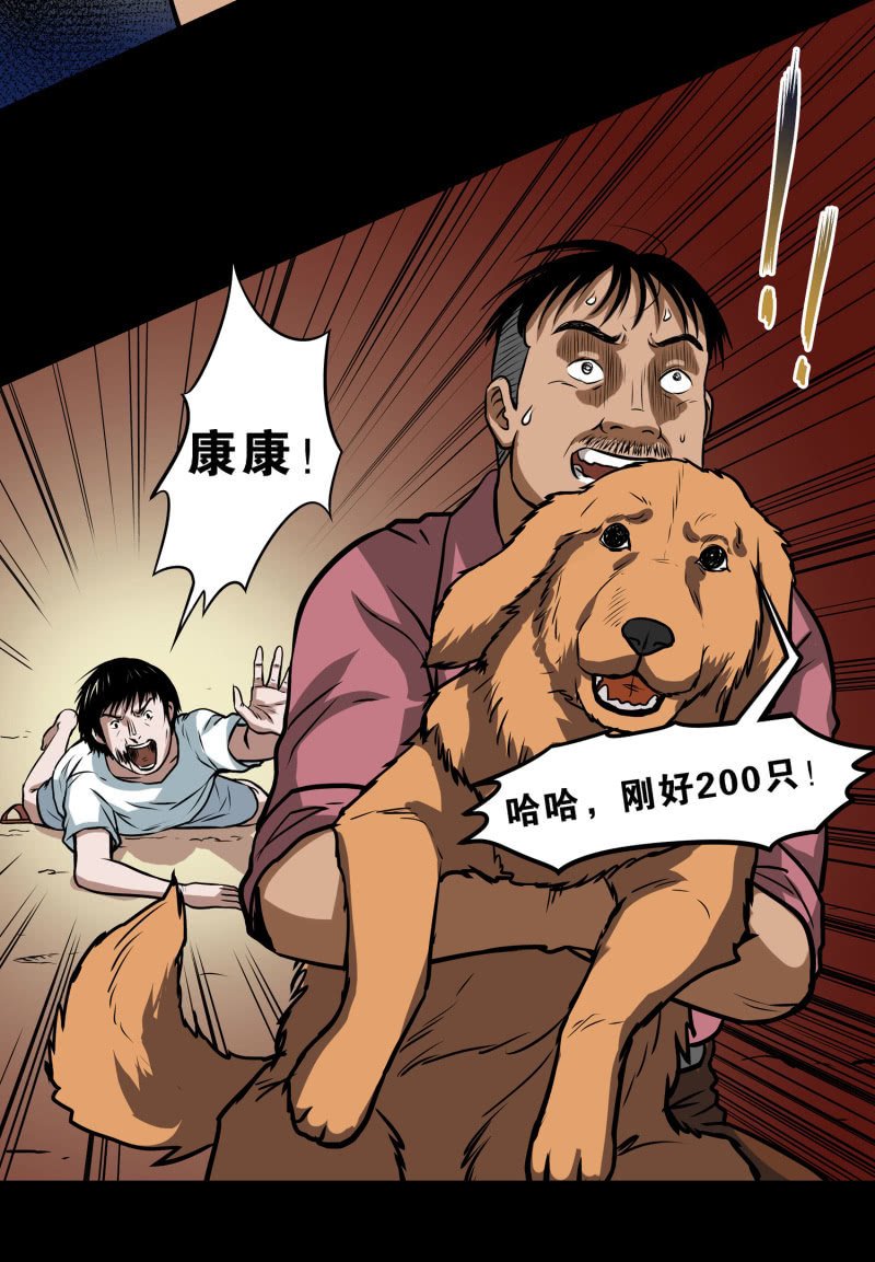 狗灵·异世界2