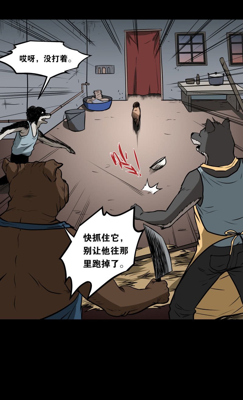 狗灵·异世界4