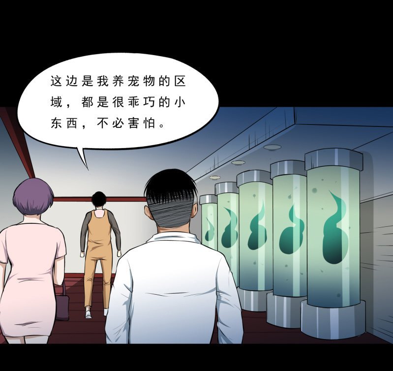 幸福的归宿2