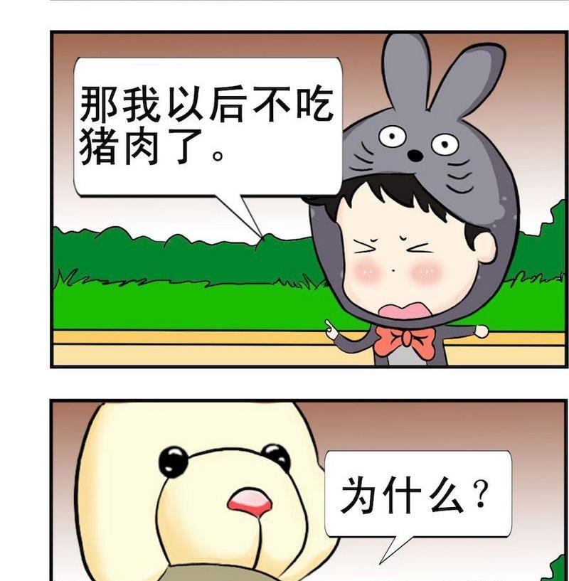 5 猪肉