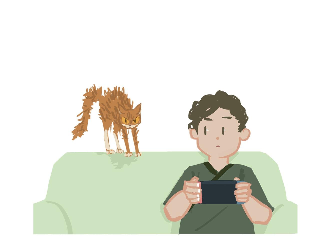不怕