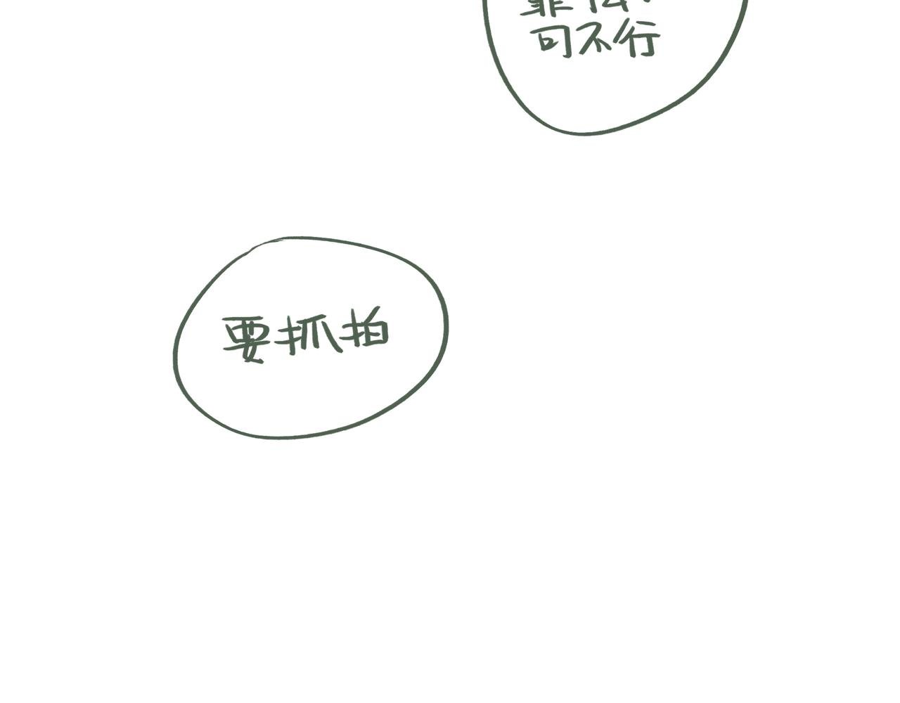 拍照