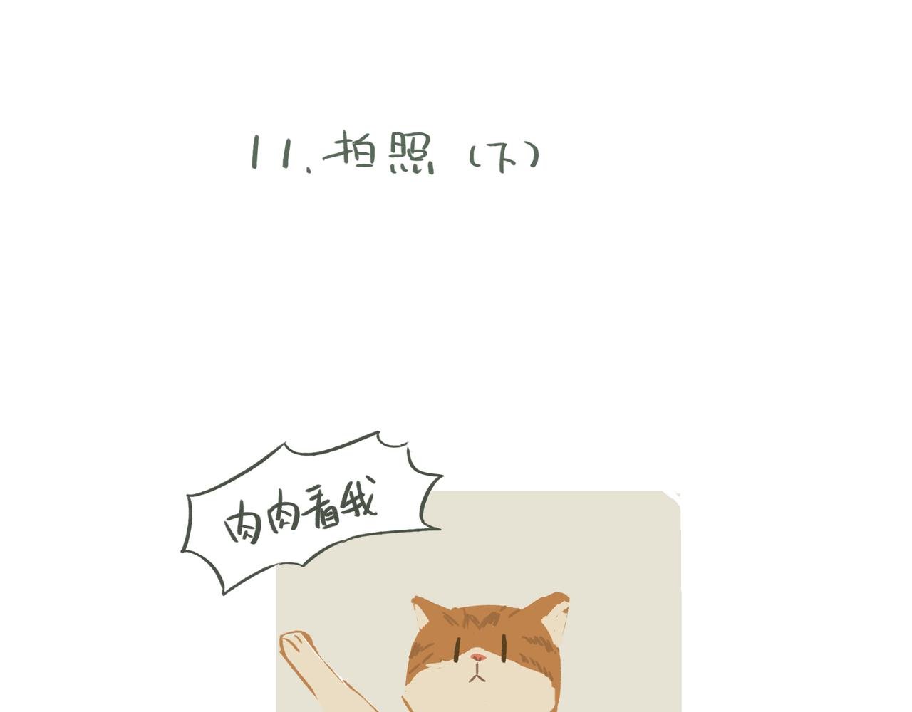 拍照