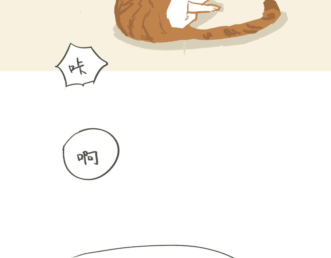 拍照
