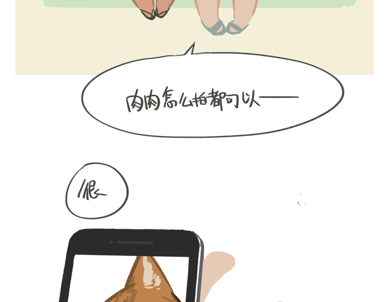 拍照