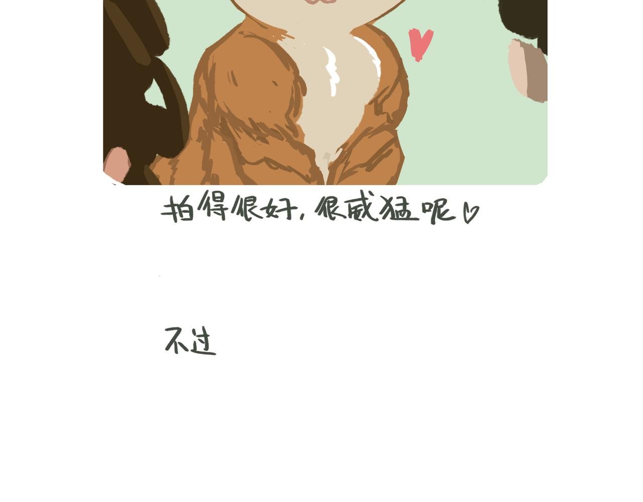 拍照