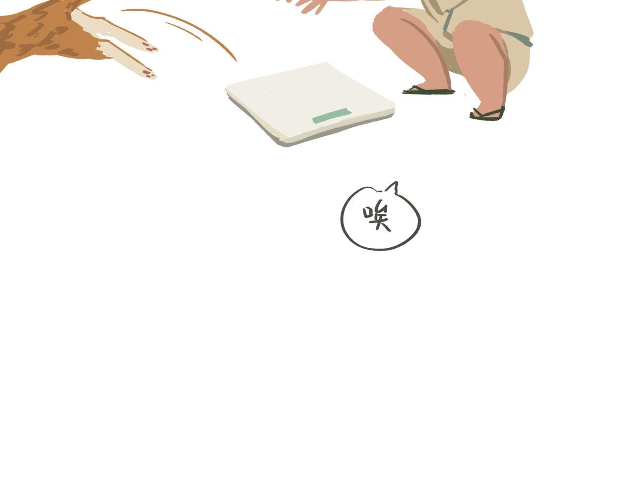 称体重
