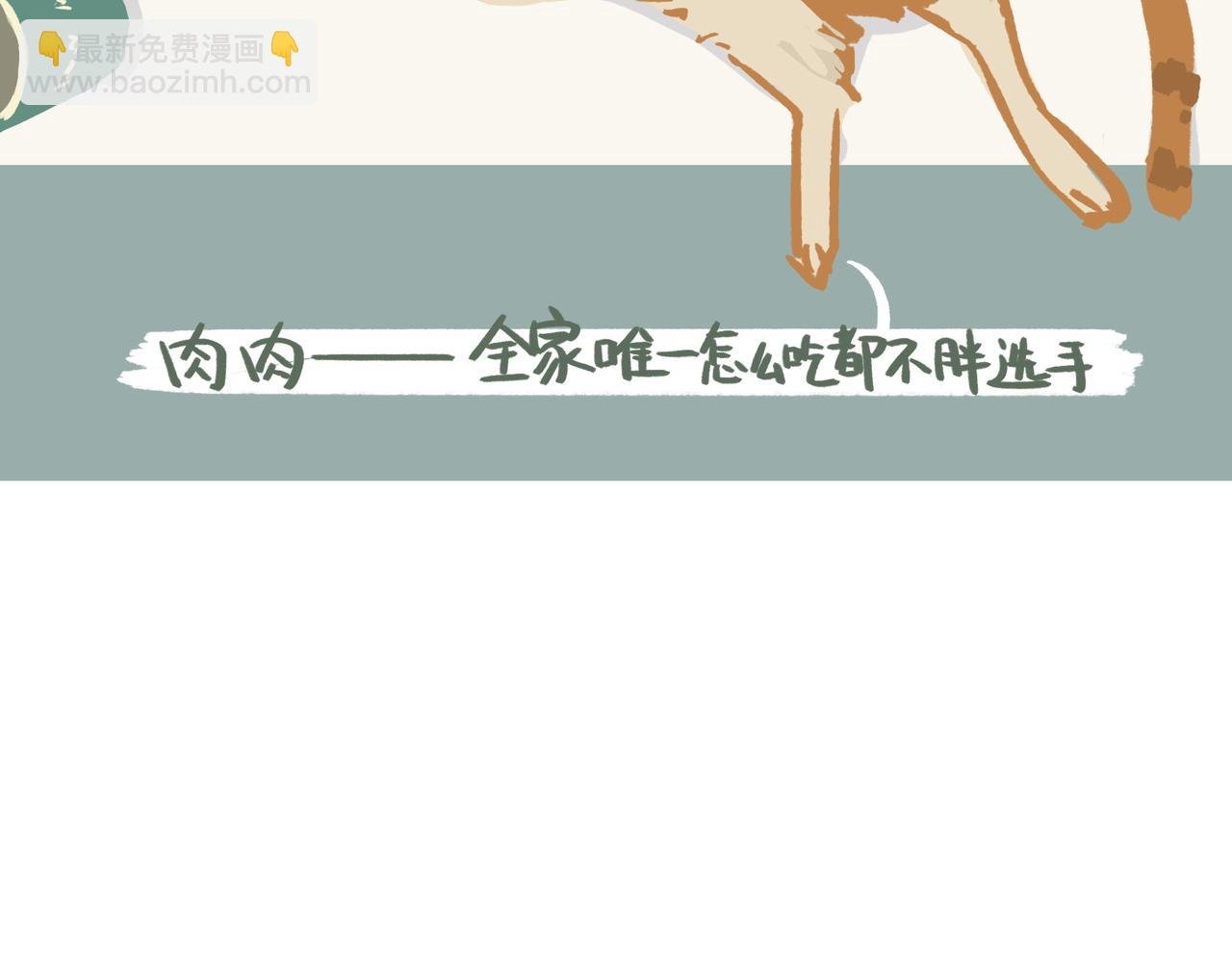 初见