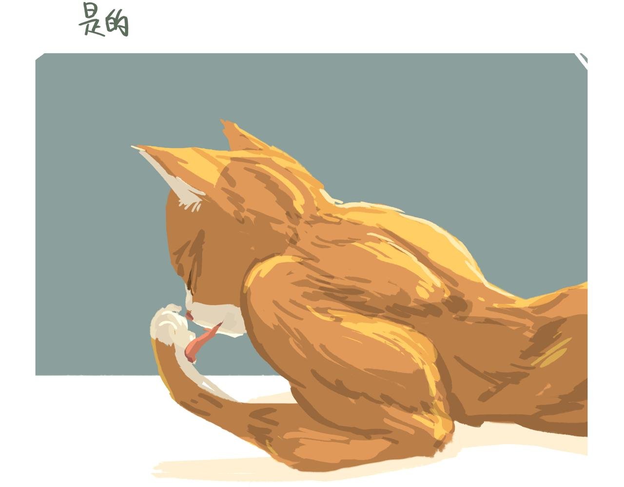 初见