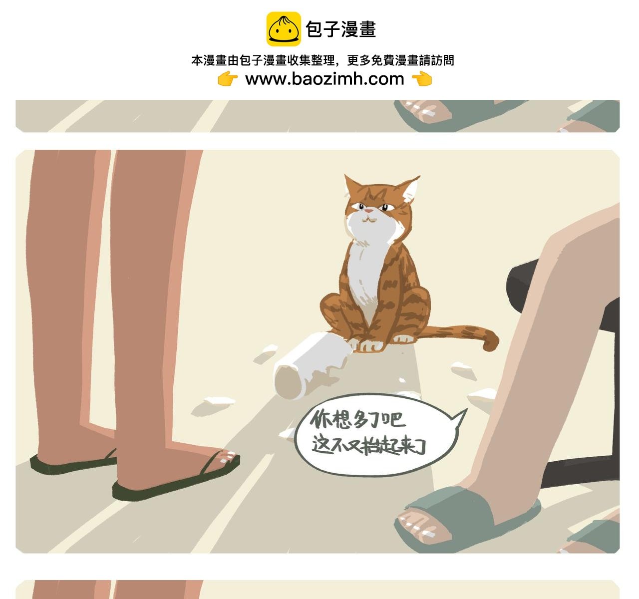 初见