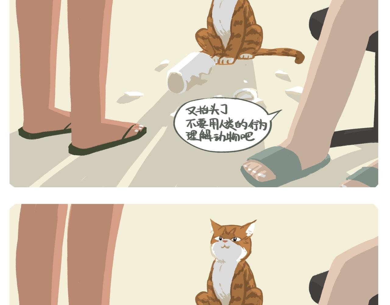 初见