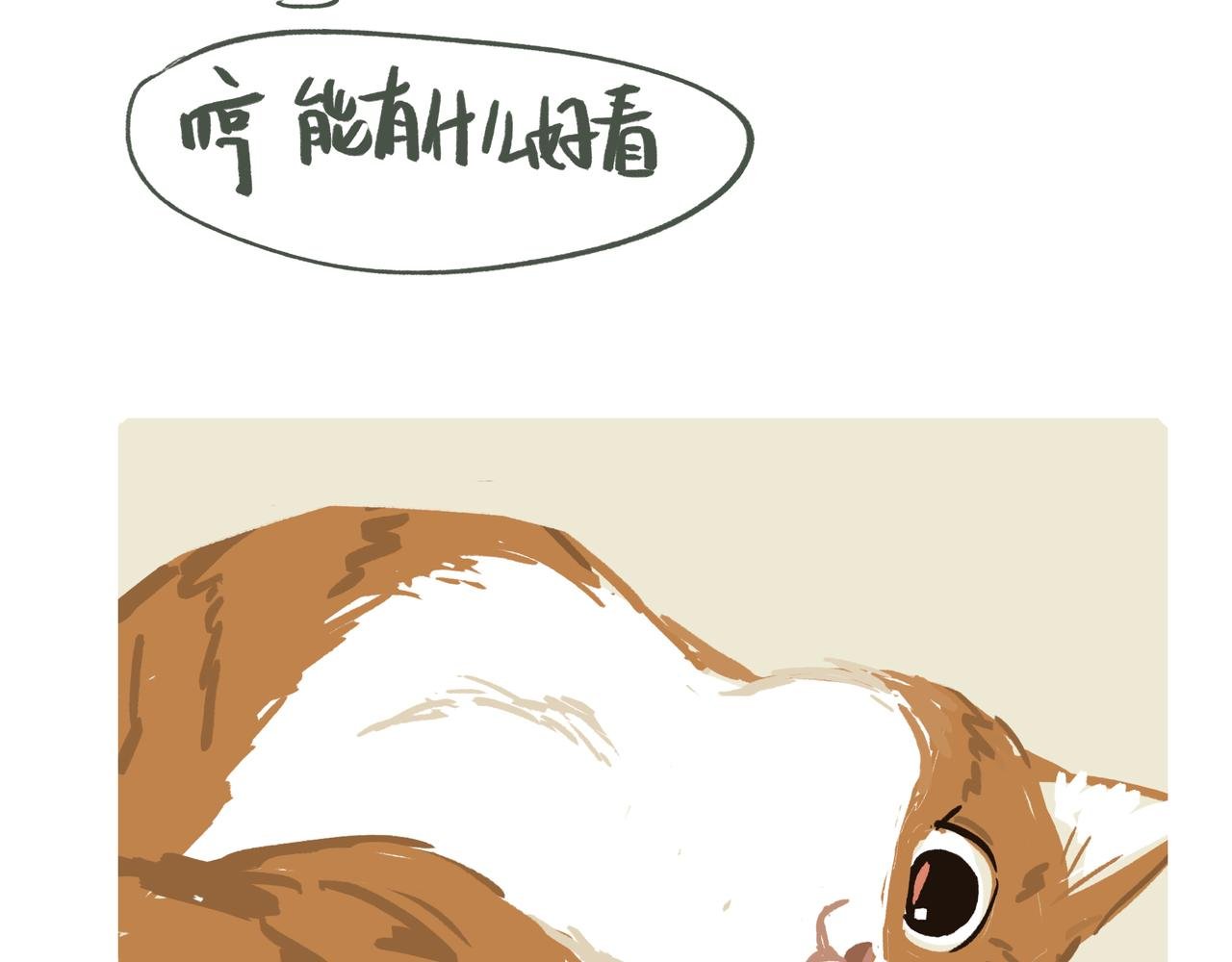 新裙子