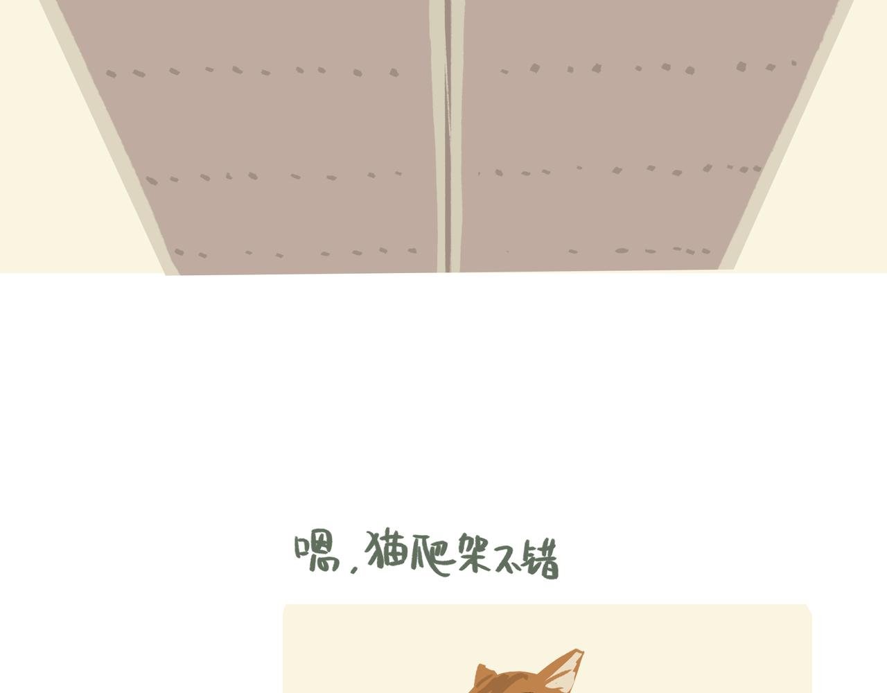 书架