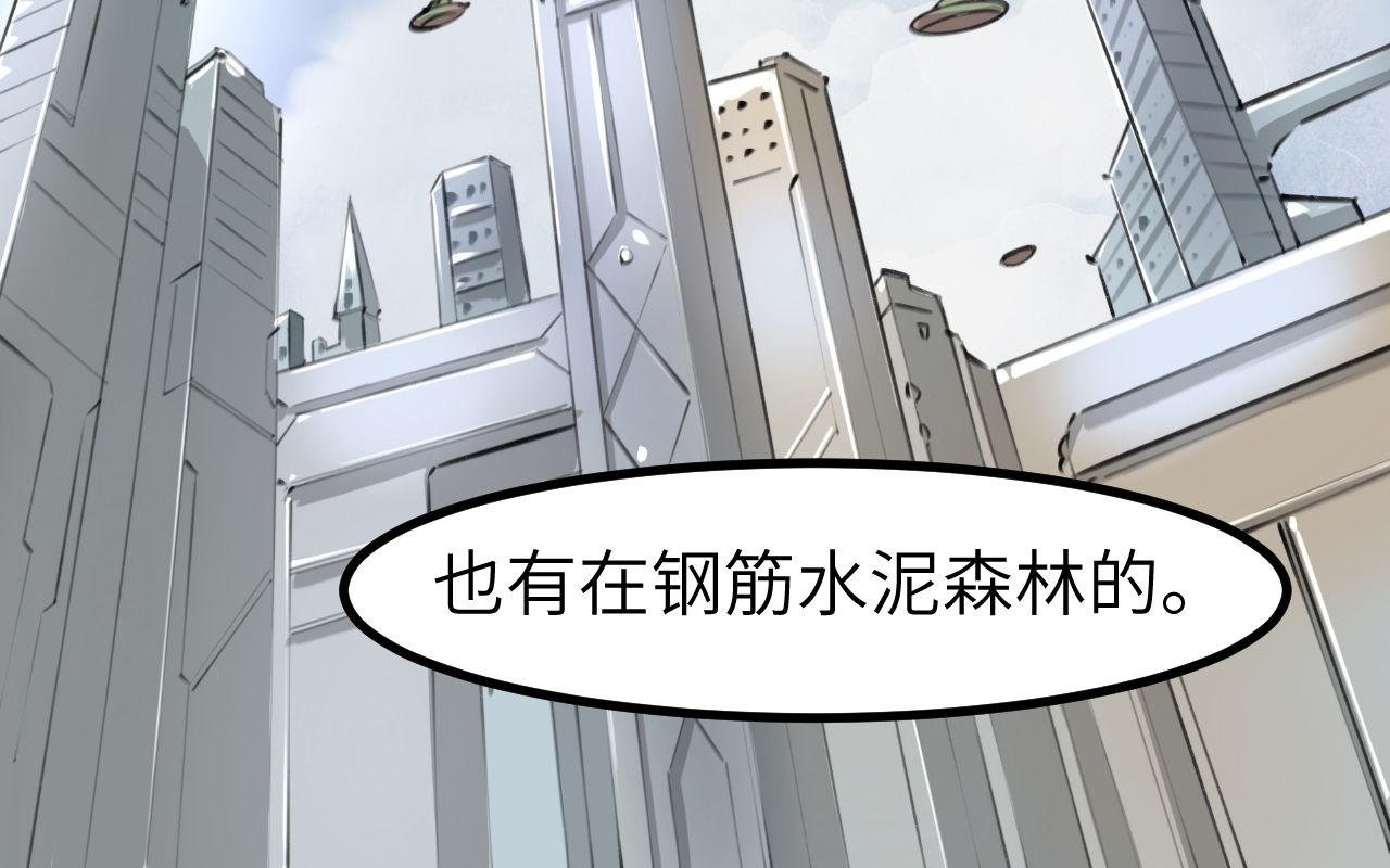 第七话 世界之球
