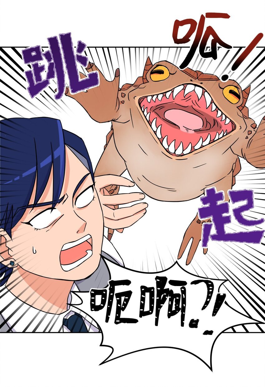 03 硬甲角蛙